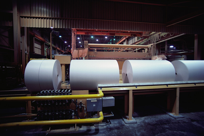 Several jumbo paper rolls on a production line